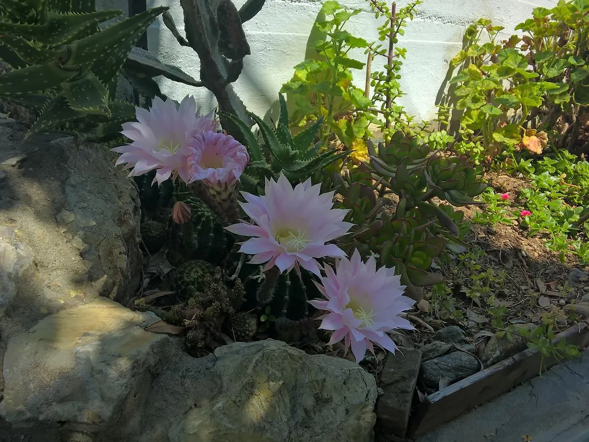 Aparthotel Elba Residence Capoliveri  Italy